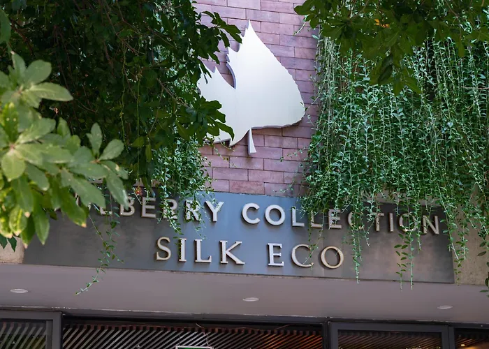 Mulberry Collection Silk Eco